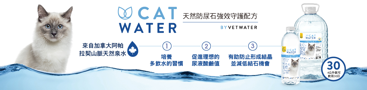 3-Cat-Water